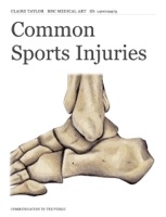 Common Sports Injuries