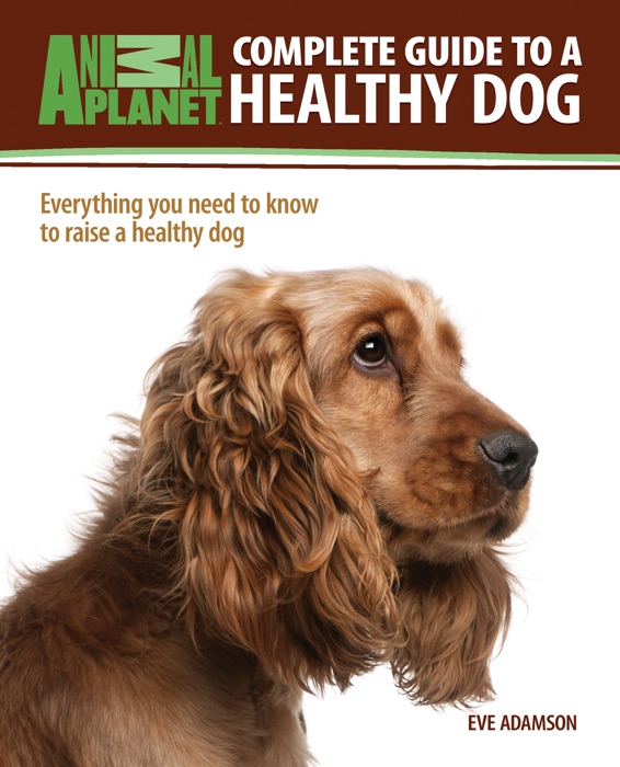 Complete Guide to a Healthy Dog