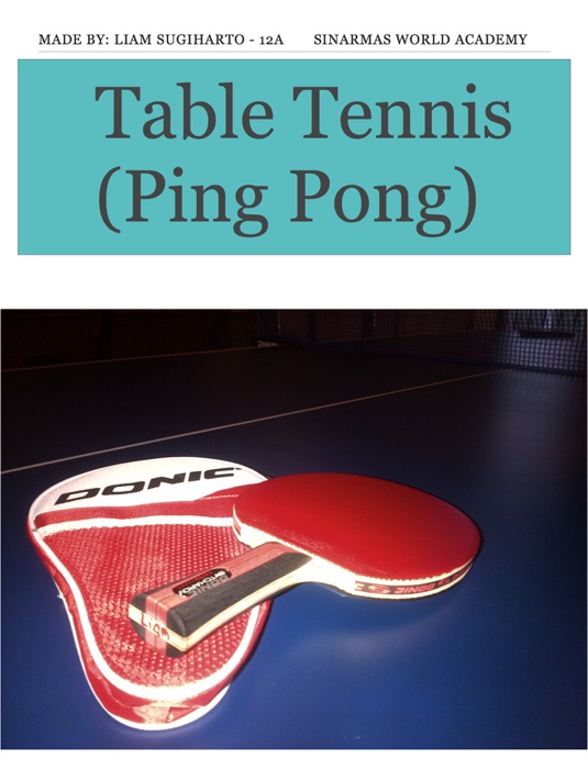 Table Tennis  (Ping Pong)