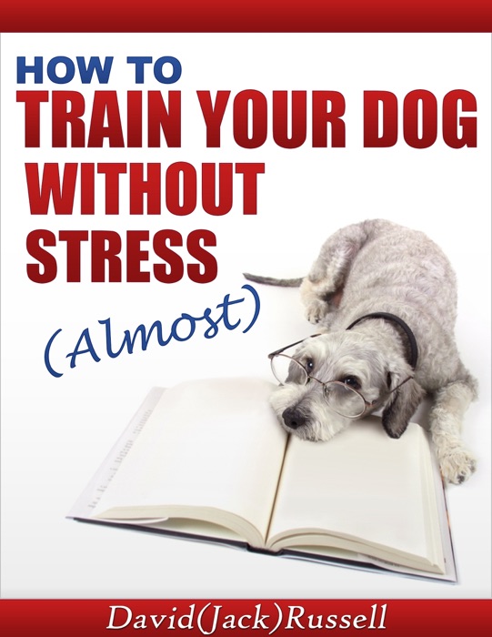 How To Train Your Dog Without Stress (Almost)