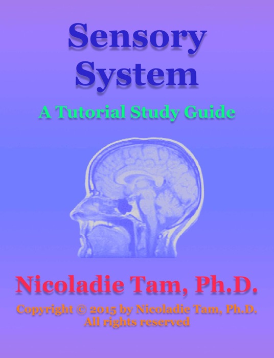 Sensory System: A Tutorial Study Guide