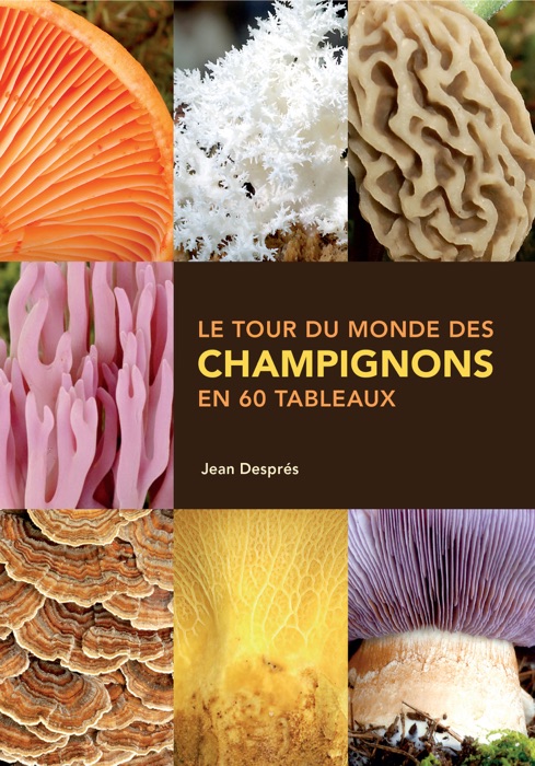 Le tour du monde des champignons en 60 tableaux