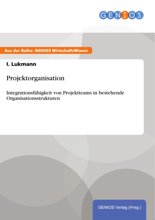 Projektorganisation