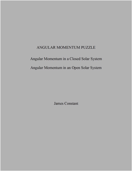 Angular Momentum Puzzle