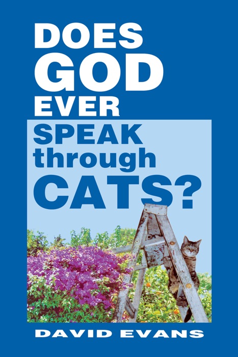 Does God Ever Speak Through Cats ?