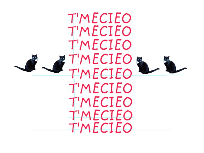 T'MECIEO