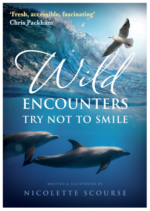 Wild Encounters