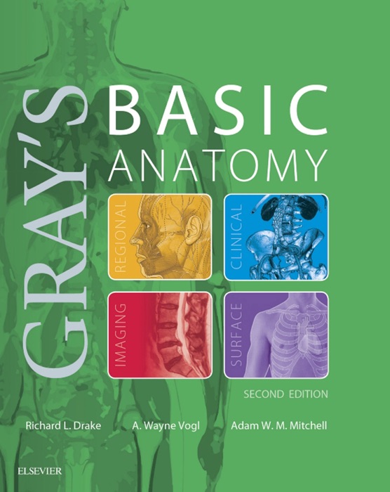 Gray's Basic Anatomy