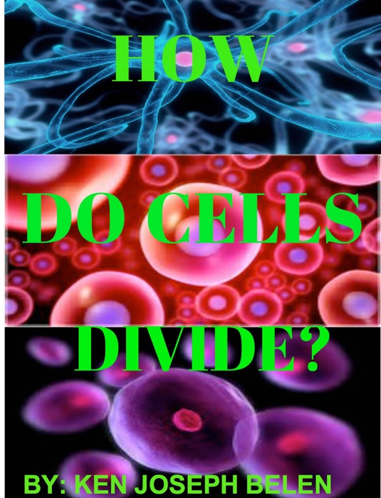 How do Cells Divide?