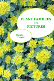 Plant Families in Pictures