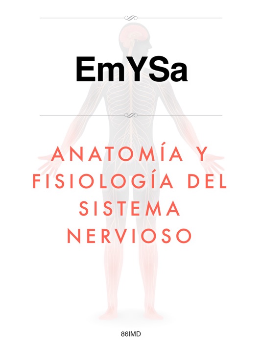 Anatomía y fisiología del sistema nervioso