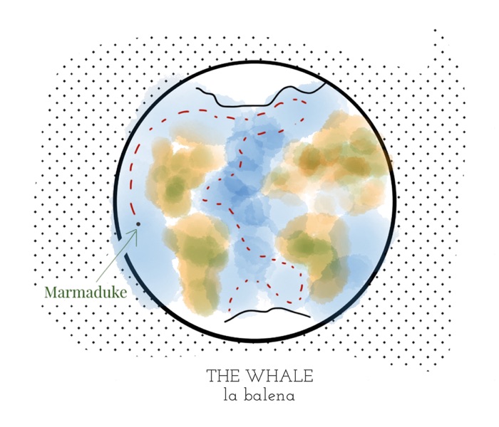 Marmaduke the Whale