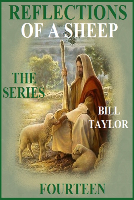 Reflections Of A Sheep: The Series - Book Fourteen