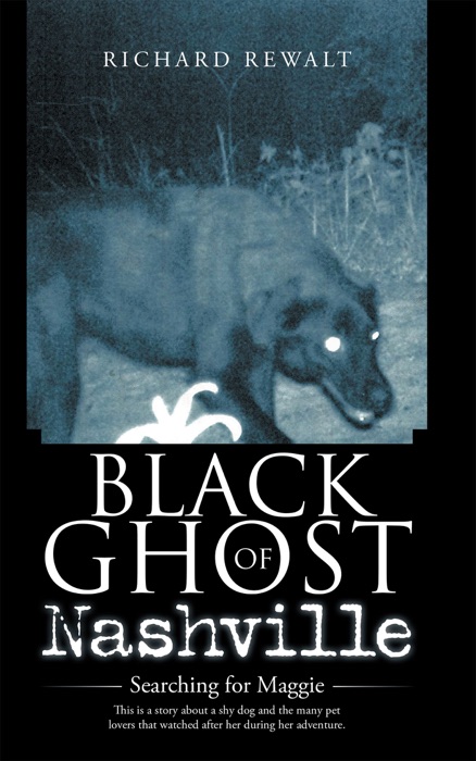 Black Ghost of Nashville