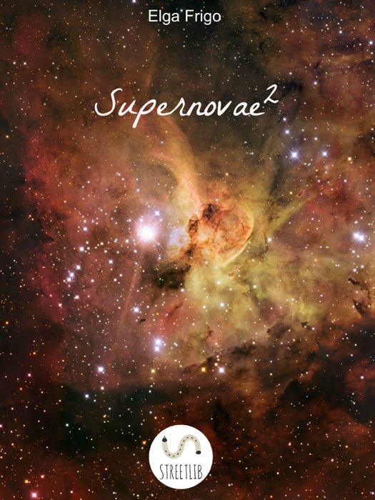Supernovae (2/4)