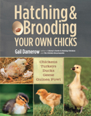 Hatching & Brooding Your Own Chicks - Gail Damerow