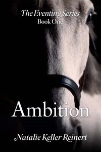 Ambition Book Cover