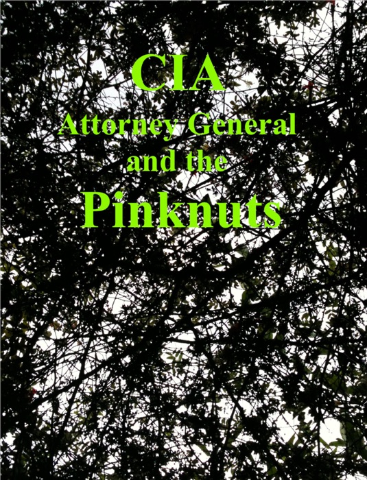 CIA Attorney General and the Pinknuts