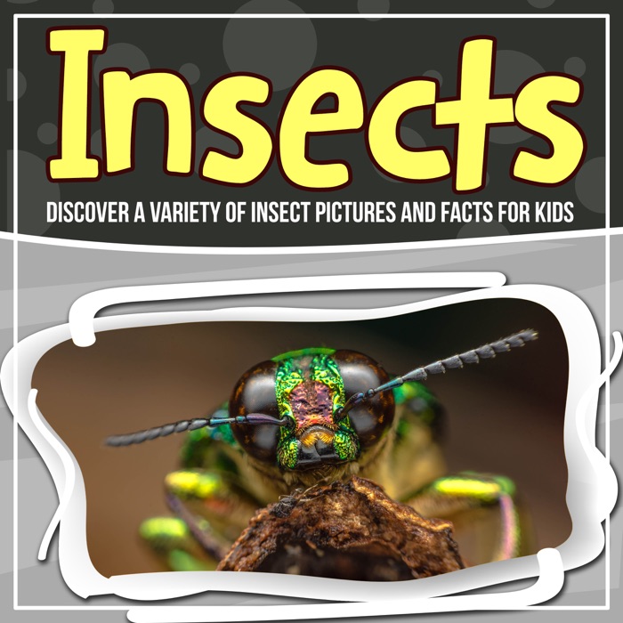 Insects: Discover A Variety Of Insect Pictures And Facts For Kids