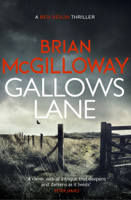 Brian McGilloway - Gallows Lane artwork