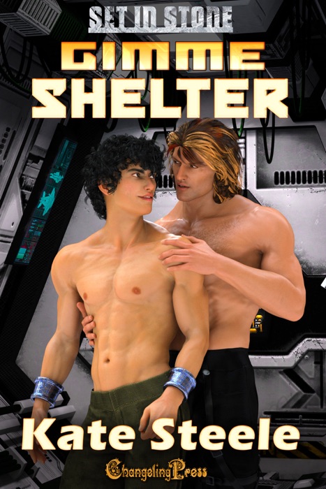 Gimme Shelter (Second Edition)