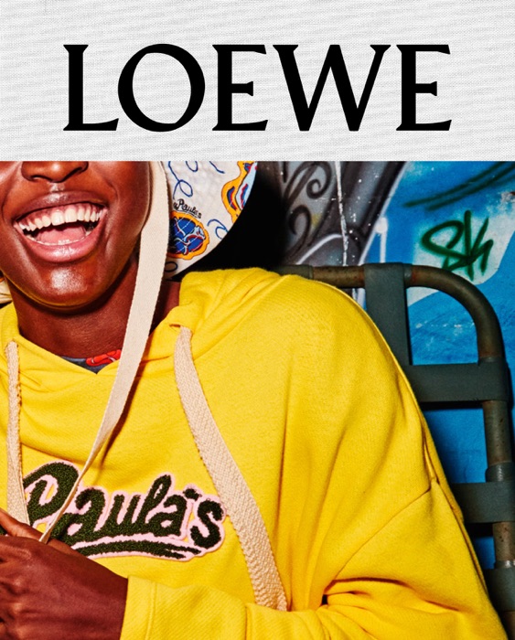 LOEWE Publication No.24