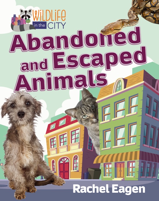 Abandoned and Escaped Animals