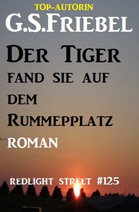 Der Tiger fand sie auf dem Rummelplatz: Redlight Street #125