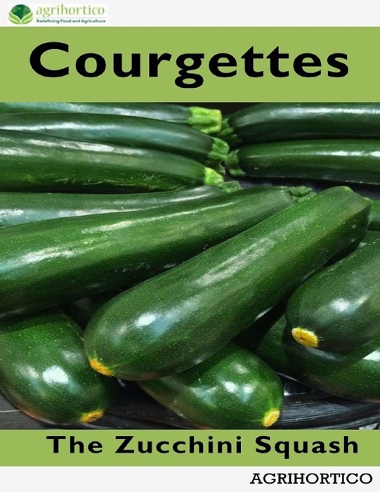 Courgettes