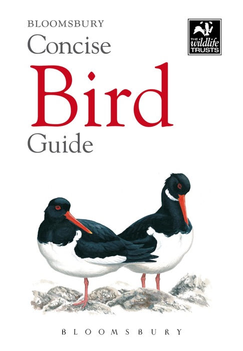 Concise Bird Guide