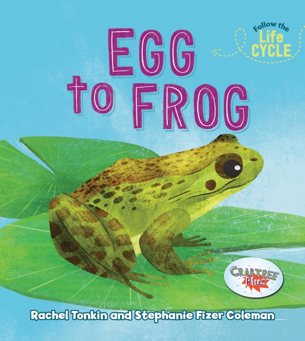 Egg to Frog