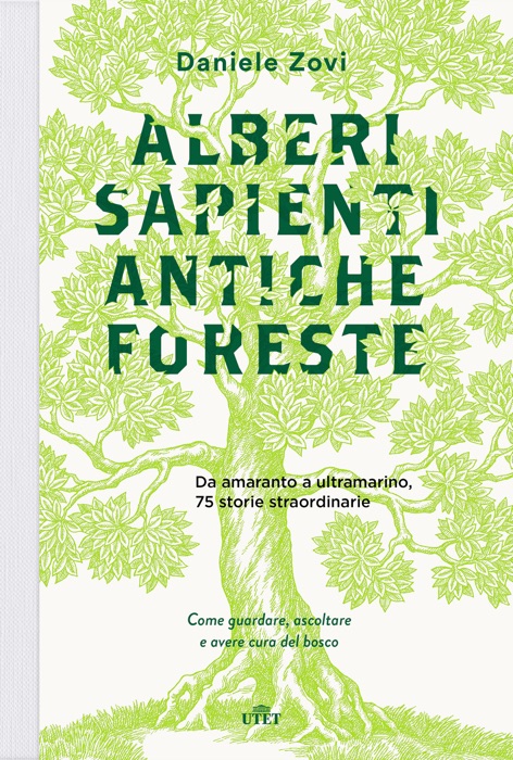 Alberi sapienti, antiche foreste