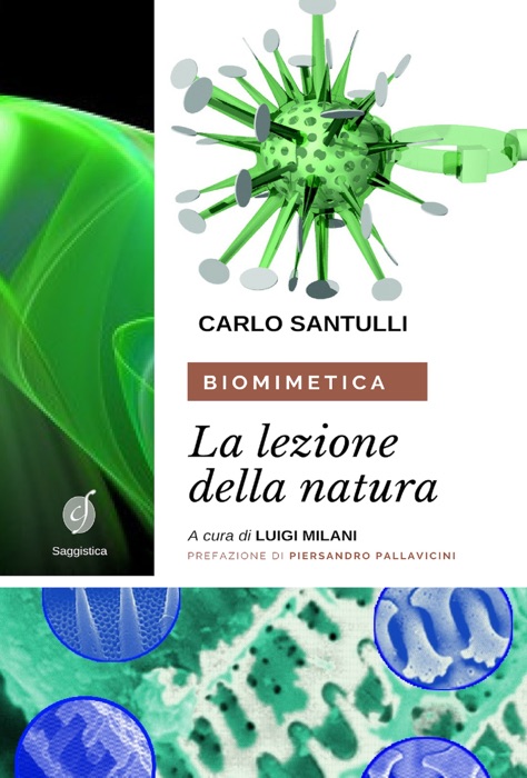 Biomimetica: la lezione della Natura