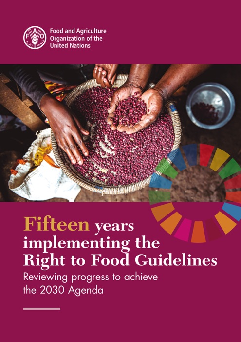 Fifteen Years Implementing the Right to Food Guidelines: Reviewing Progress to Achieve the 2030 Agenda