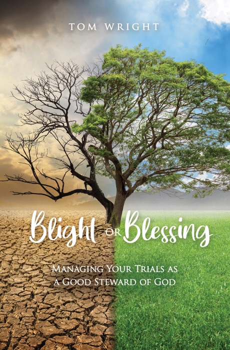 BLIGHT OR BLESSING