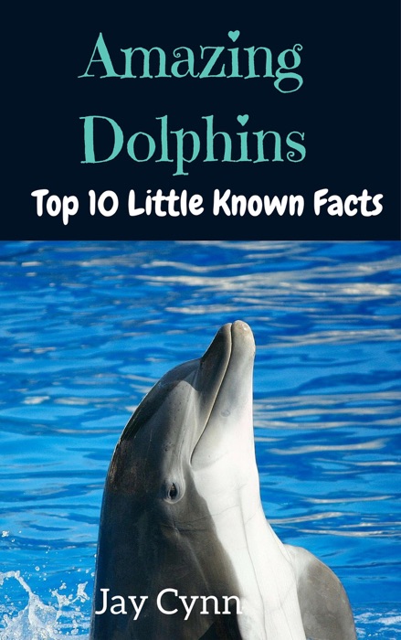 Amazing Dolphins - Top 10 Little Known Facts About Dolphins