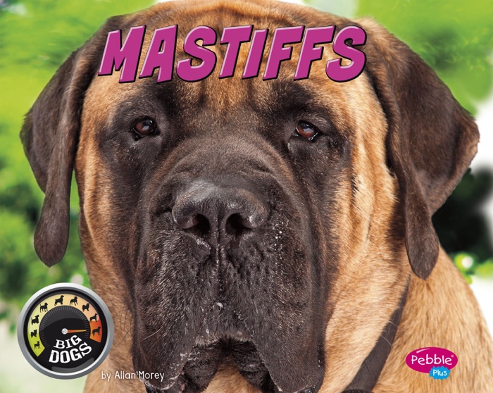 Mastiffs