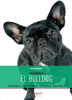 El bulldog - Valeria Rossi