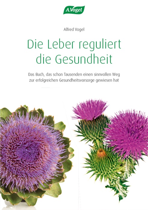 Die Leber reguliert die Gesundheit