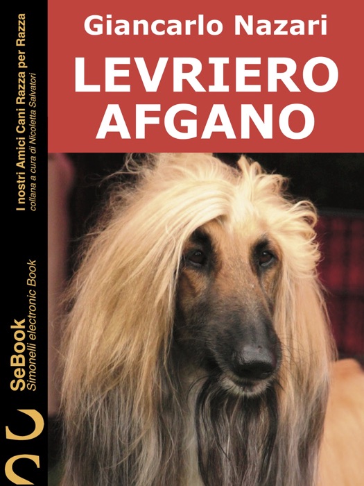 Levriero Afgano