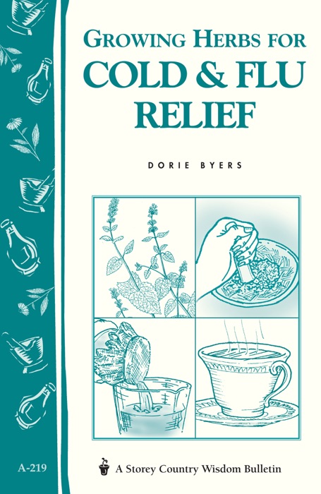 Growing Herbs for Cold & Flu Relief