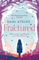 Dani Atkins - Fractured artwork