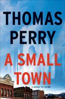 Thomas Perry - A Small Town artwork