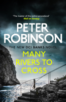 Peter Robinson - Many Rivers to Cross artwork