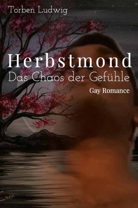 Herbstmond... Das Chaos der Gefühle: Gay Romance