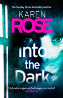 Karen Rose - Into the Dark (The Cincinnati Series Book 5) artwork