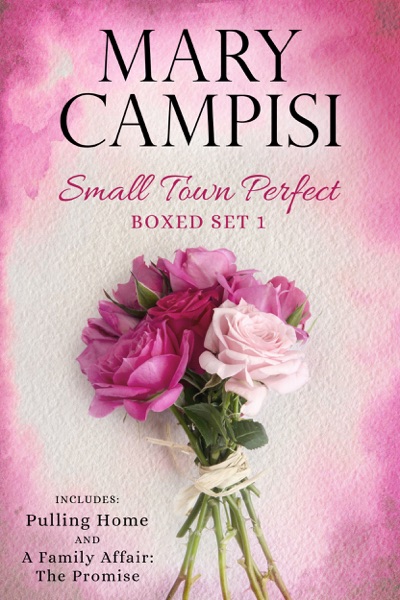 Small Town Perfect Boxed Set 1