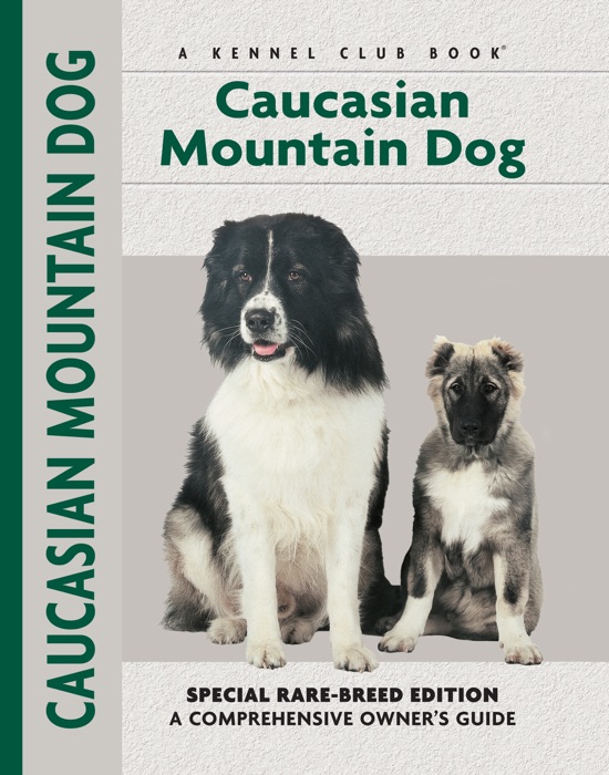 Caucasian Mountain Dog