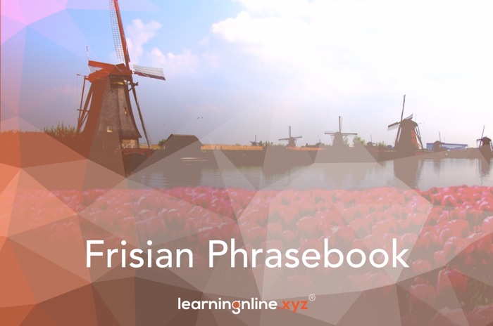 Frisian Light Phrasebook