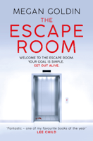 Megan Goldin - The Escape Room artwork